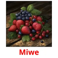 Miwe picture flashcards