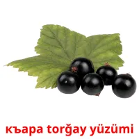 къара torğay yüzümi picture flashcards