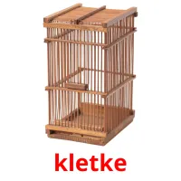 kletke picture flashcards