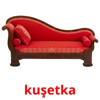 kuşetka picture flashcards