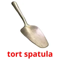 tort spatula Tarjetas didacticas