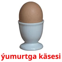 ýumurtga käsesi Tarjetas didacticas