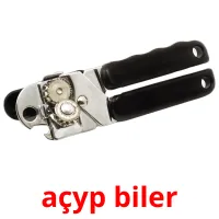 açyp biler billedkort for børn med billeder