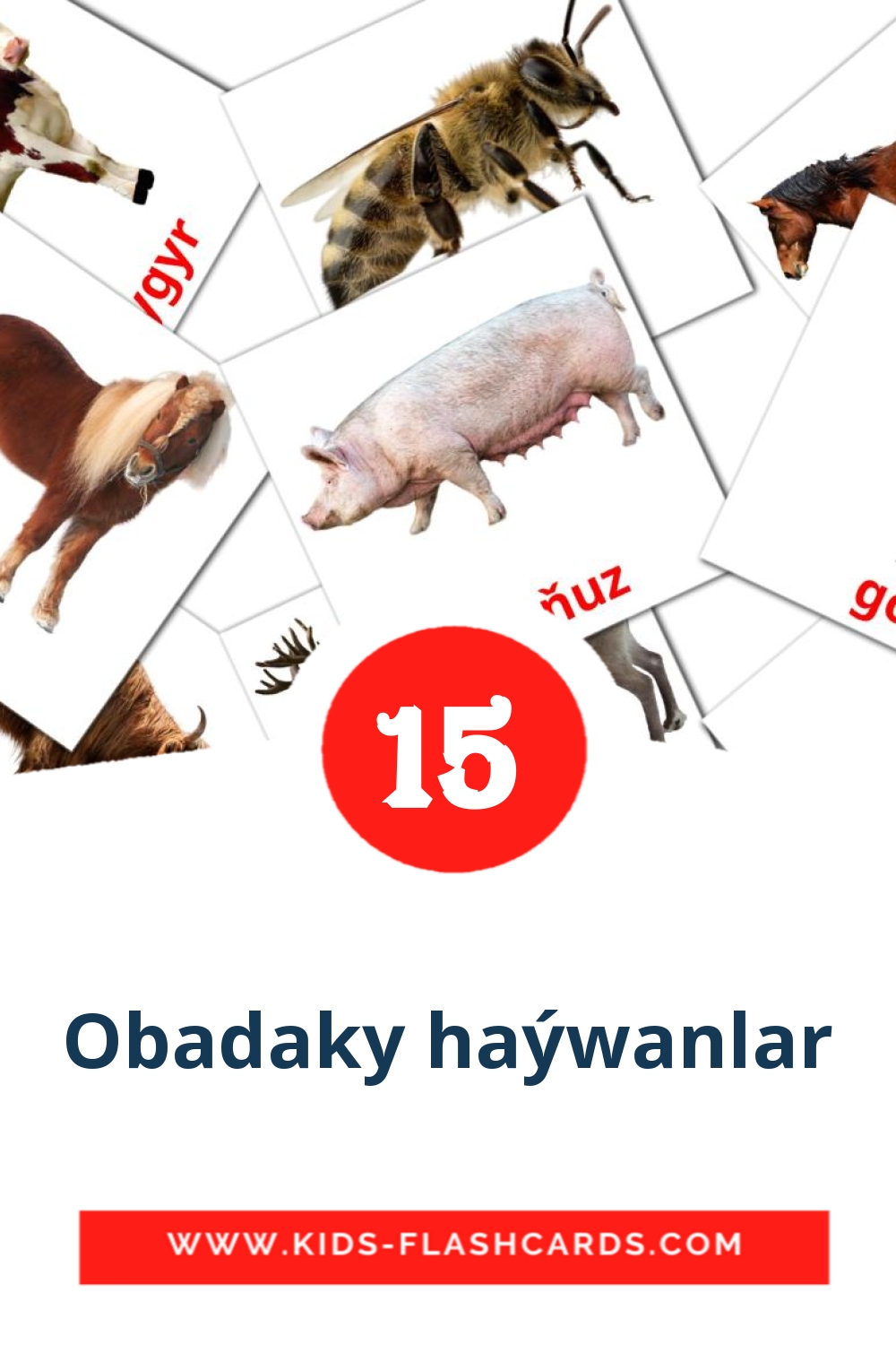 15 Obadaky haýwanlar Picture Cards for Kindergarden in turkmen