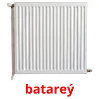 batareý flashcards illustrate