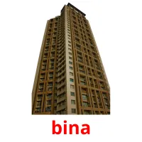 bina flashcards illustrate