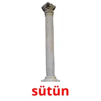 sütün flashcards illustrate