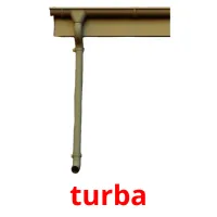 turba flashcards illustrate