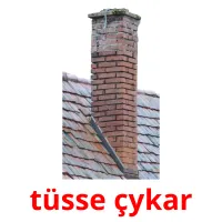 tüsse çykar flashcards illustrate