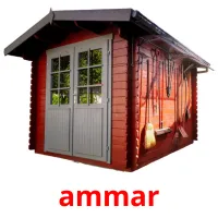 ammar kuvakortit