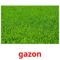 gazon kuvakortit