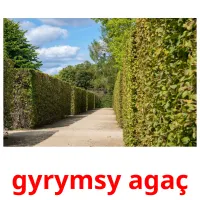 gyrymsy agaç kuvakortit