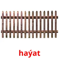 haýat kuvakortit