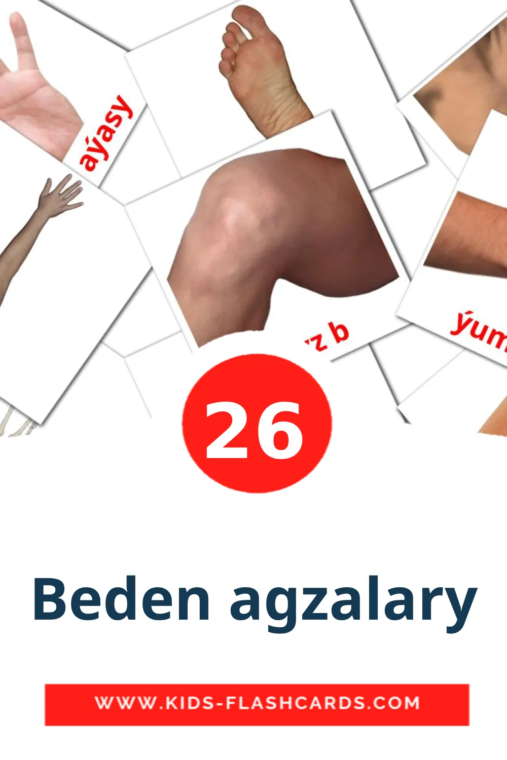 26 cartes illustrées de Beden agzalary pour la maternelle en turken
