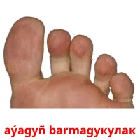 aýagyñ barmagyкулак cartes flash