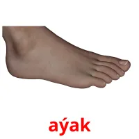 aýak cartes flash