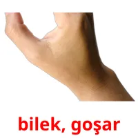 bilek, goşar cartes flash
