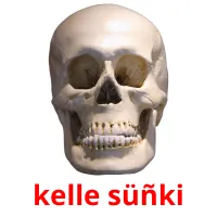 kelle süñki cartes flash