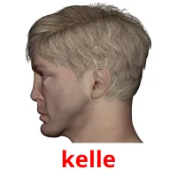 kelle cartes flash
