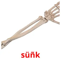 süñk cartes flash