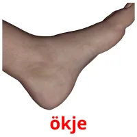 ökje cartes flash