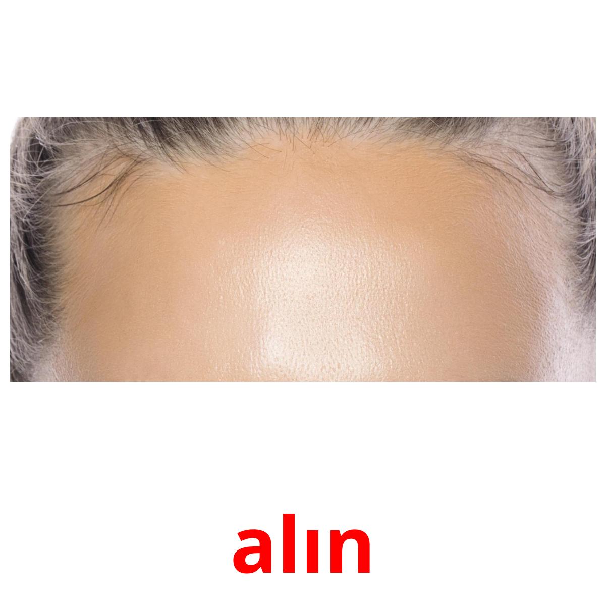 alın cartões com imagens