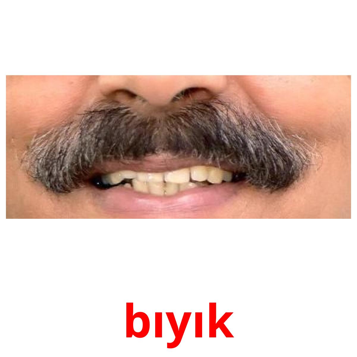 bıyık cartões com imagens