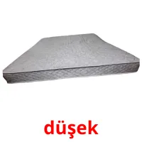 düşek flashcards illustrate