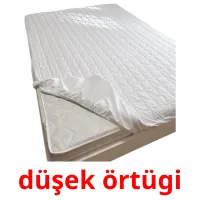düşek örtügi flashcards illustrate