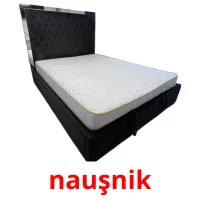 nauşnik flashcards illustrate