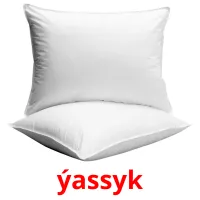 ýassyk flashcards illustrate