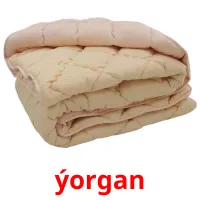 ýorgan flashcards illustrate