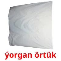 ýorgan örtük flashcards illustrate