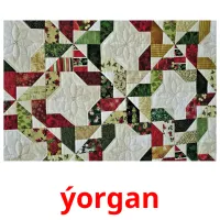 ýorgan flashcards illustrate