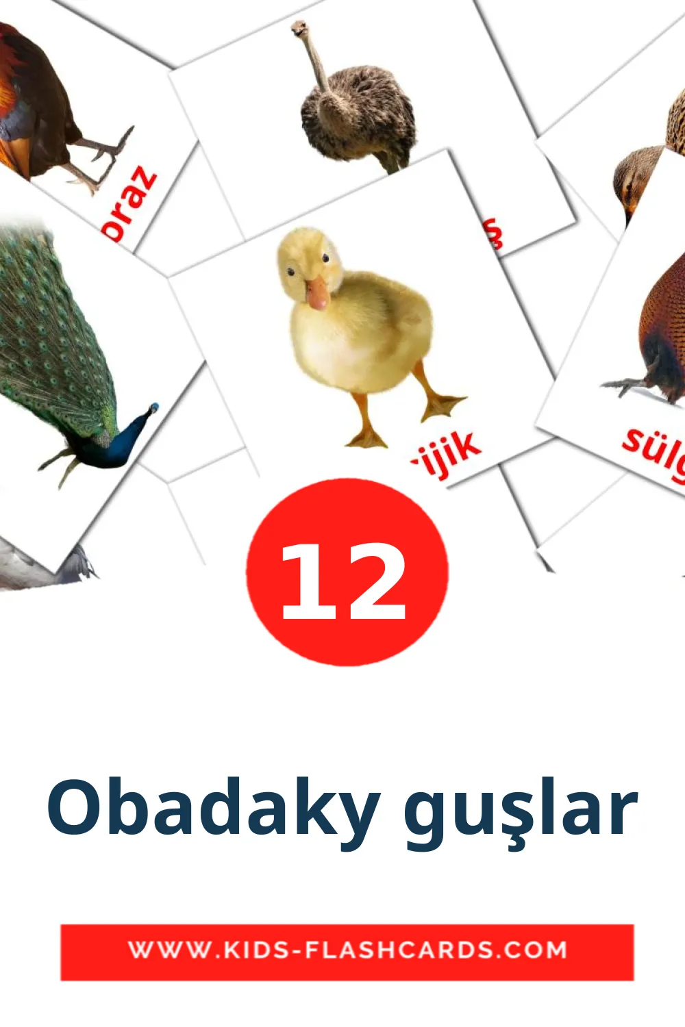 12 carte illustrate di Obadaky guşlar per la scuola materna in turkmen