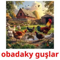 obadaky guşlar flashcards illustrate