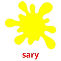 sary flashcards illustrate