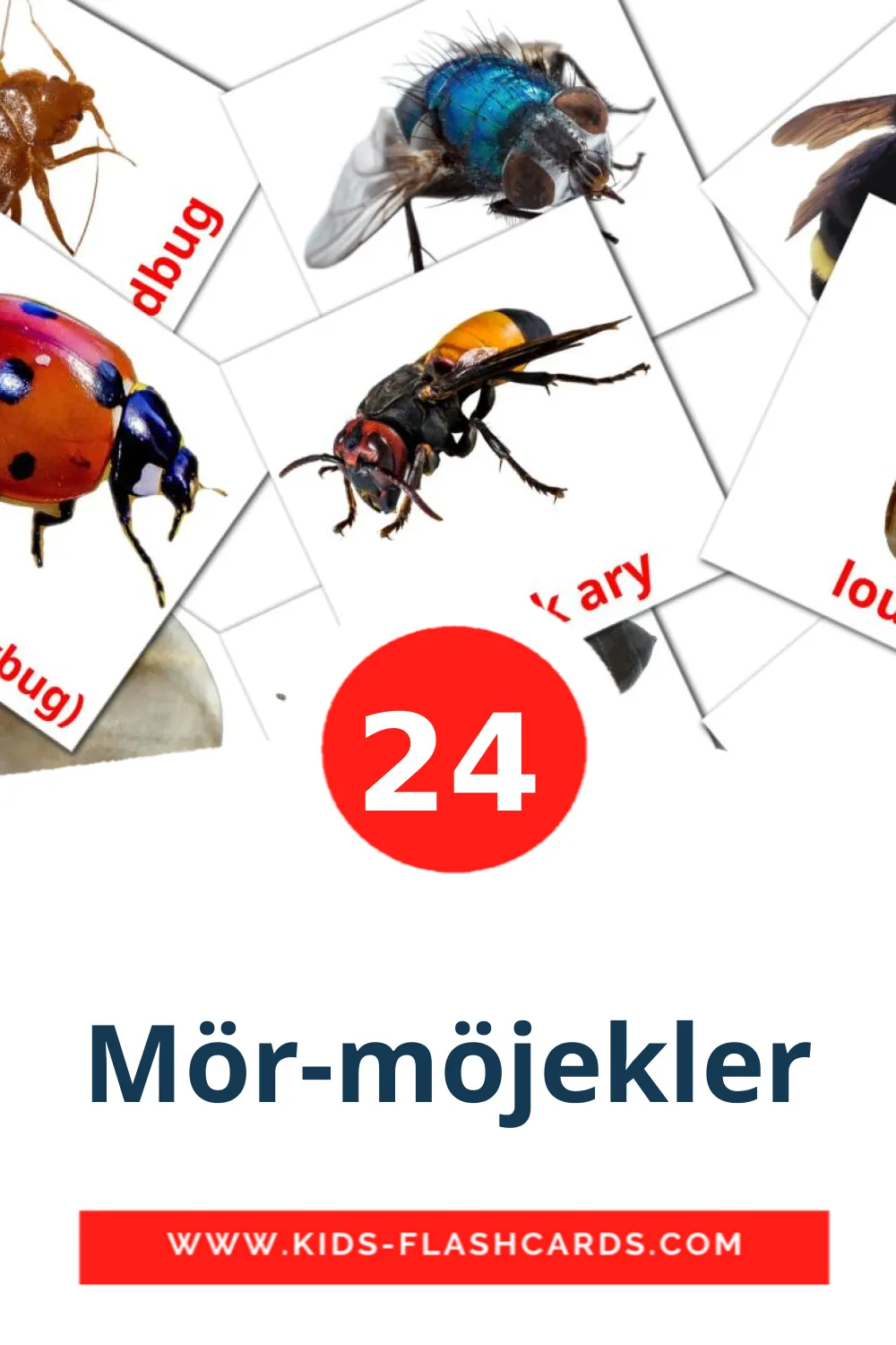 24 Mör-möjekler Bildkarten für den Kindergarten auf Turkmenisch
