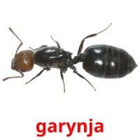 garynja Bildkarten für Kinder