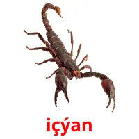 içýan Bildkarten für Kinder