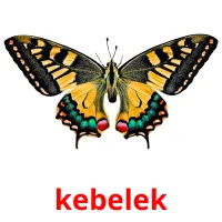 kebelek Bildkarten für Kinder