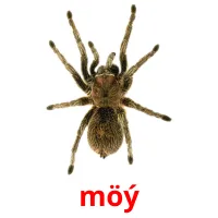 möý Bildkarten für Kinder