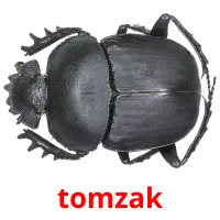 tomzak Bildkarten für Kinder