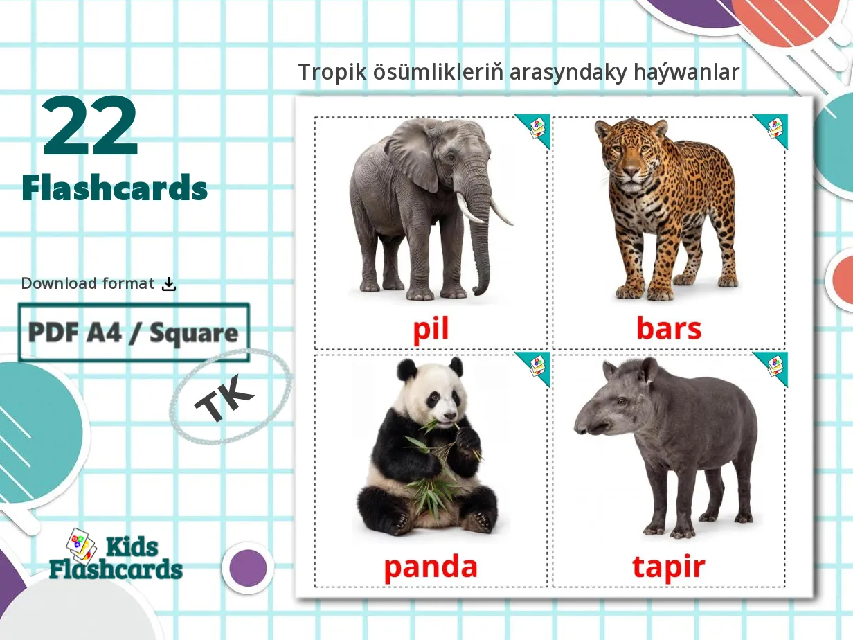 22 Printable Jungle animals Flashcards in Turkmen (Free PDF)