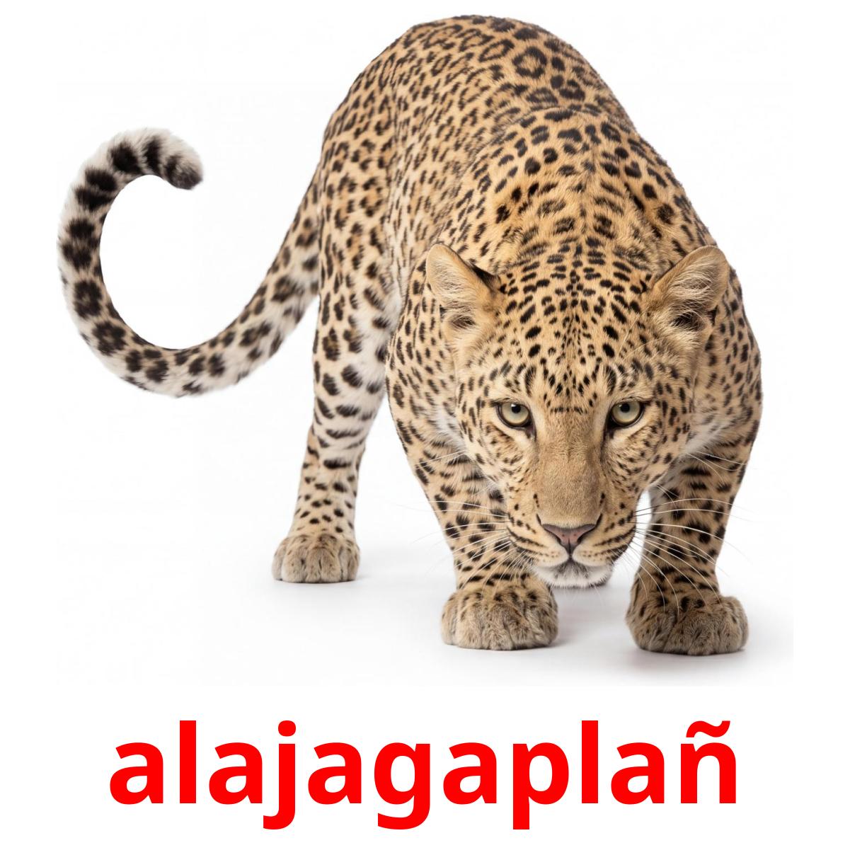 22 Printable Jungle animals Flashcards in Turkmen (Free PDF)