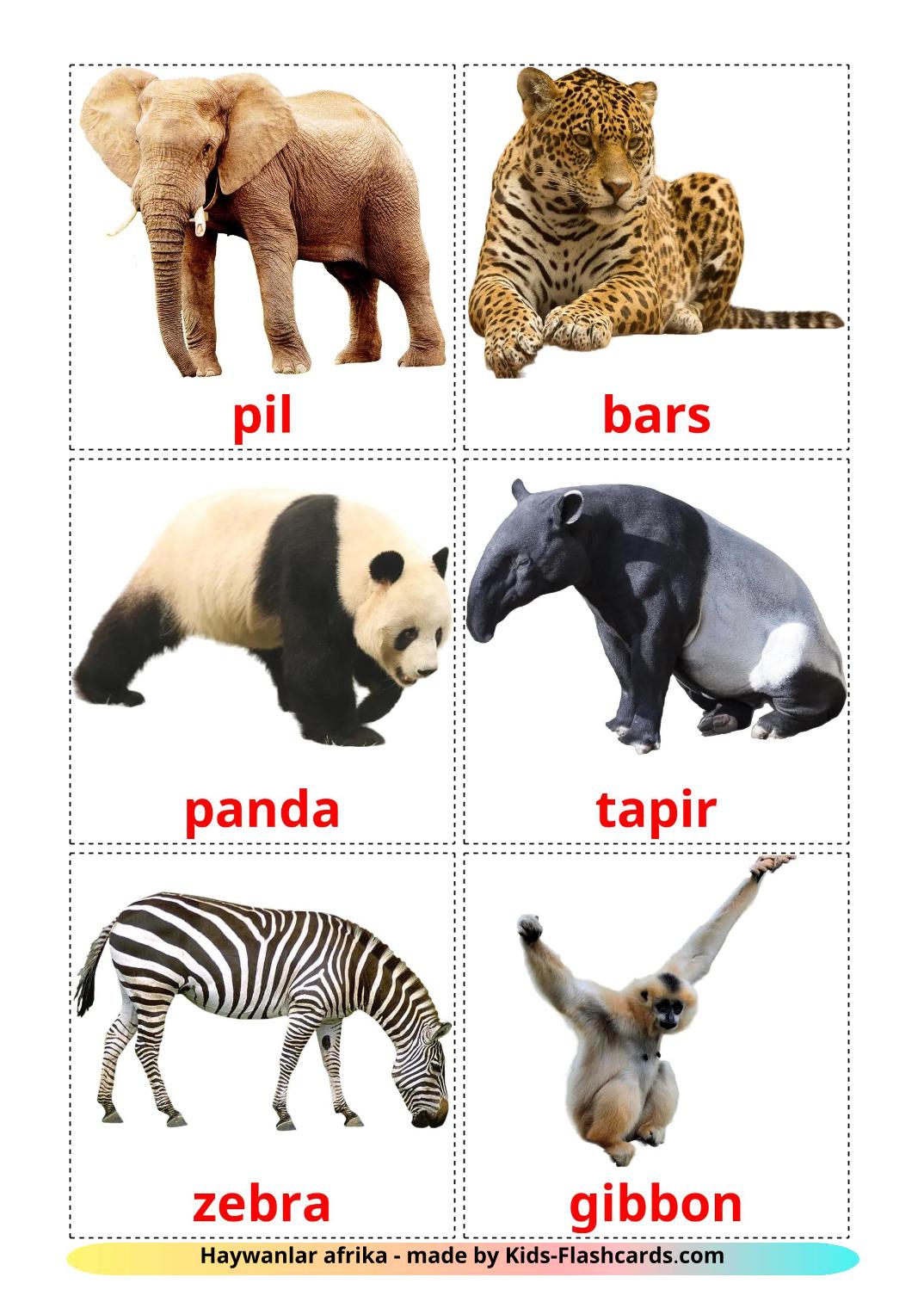 Jungle dieren - 22 gratis printbare turkene kaarten