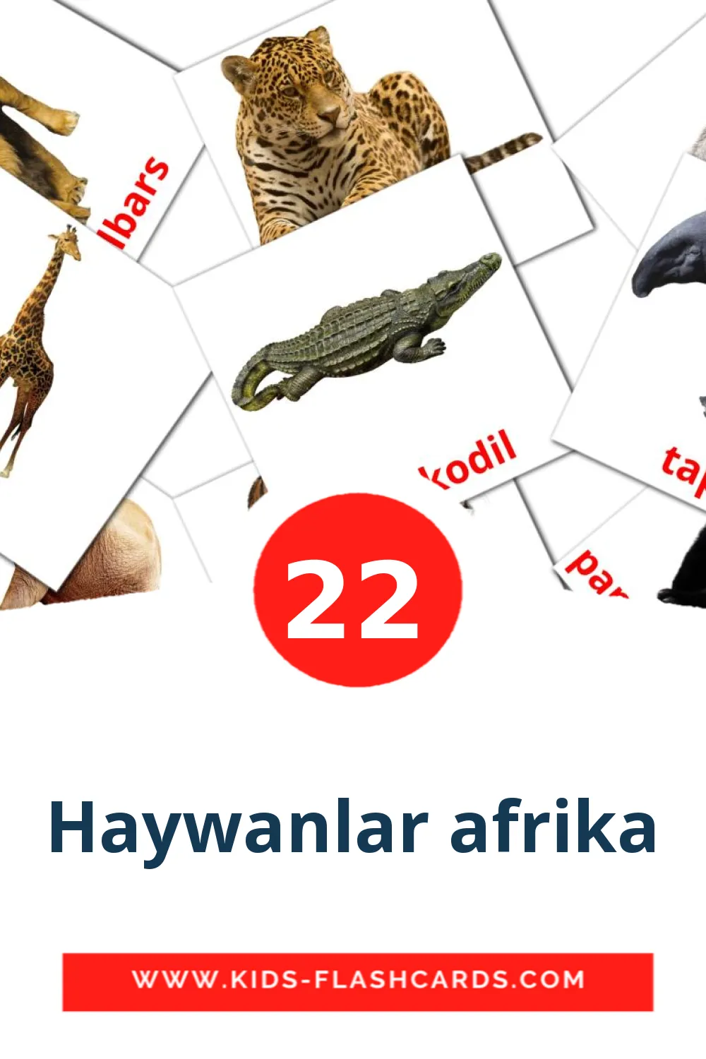 22 Haywanlar afrika leerkaarten voor kleuters in het turken