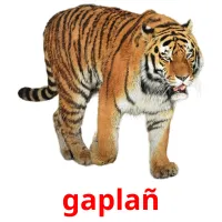 gaplañ ansichtkaarten
