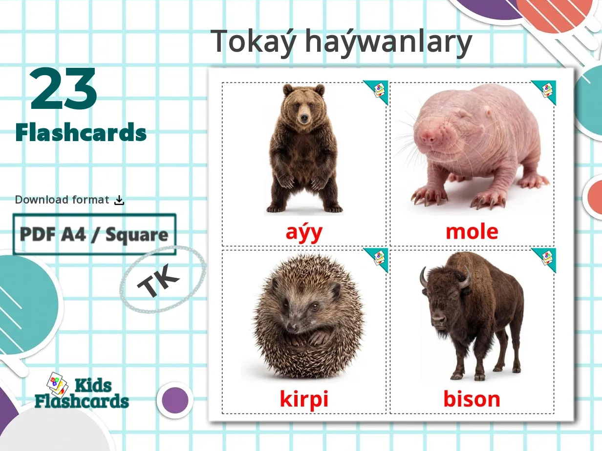 23 Printable Forest animals Flashcards in Turkmen (Free PDF)