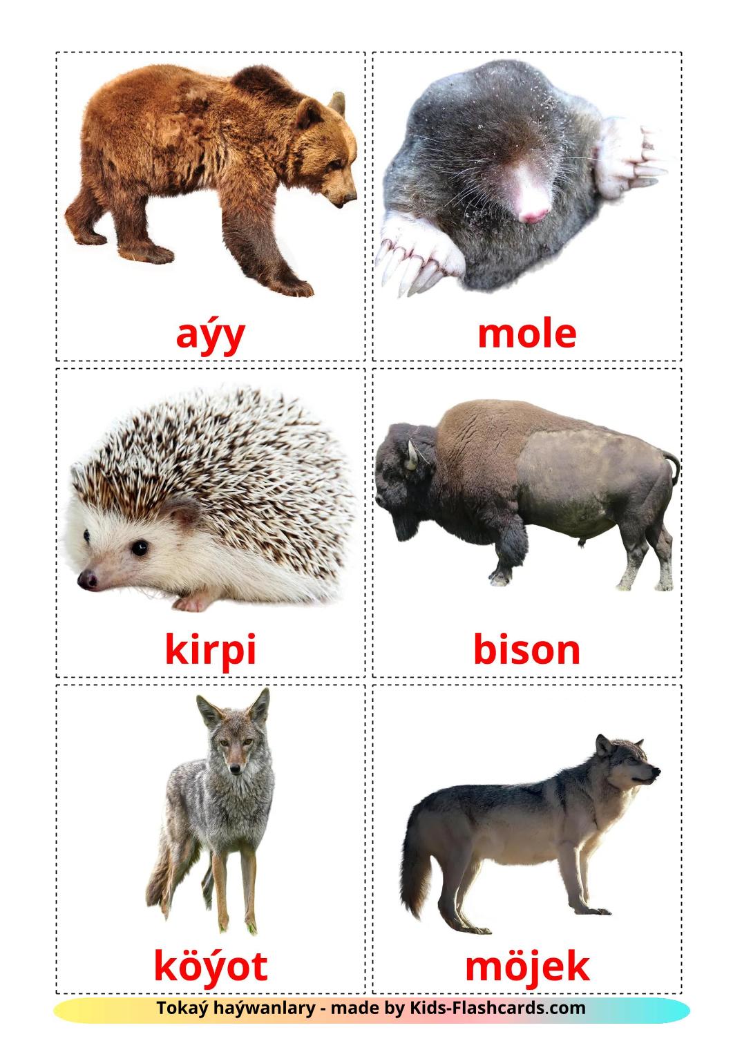 Skovdyr - turkmenske gratis turkmenske billedkort for børn til udskrivning